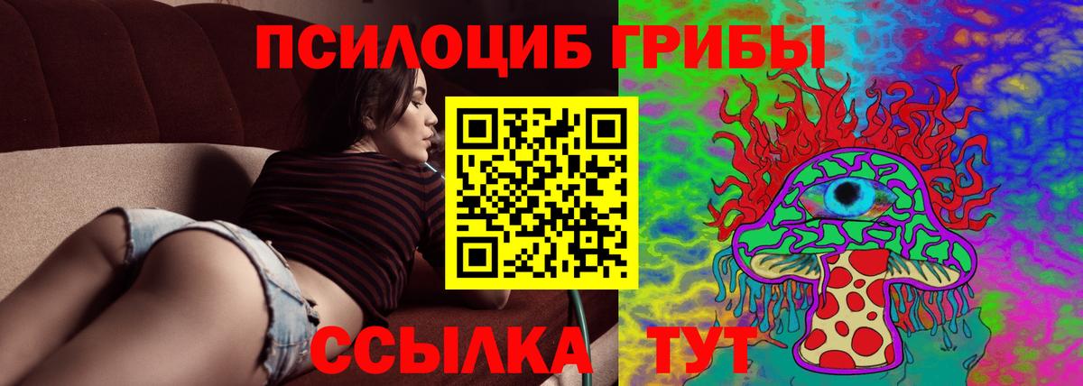Псилоцибиновые грибы мицелий  Вход с VPN  купить   Белгород 