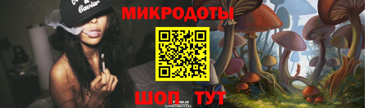 Псилоцибиновые грибы Psilocybe Белгород