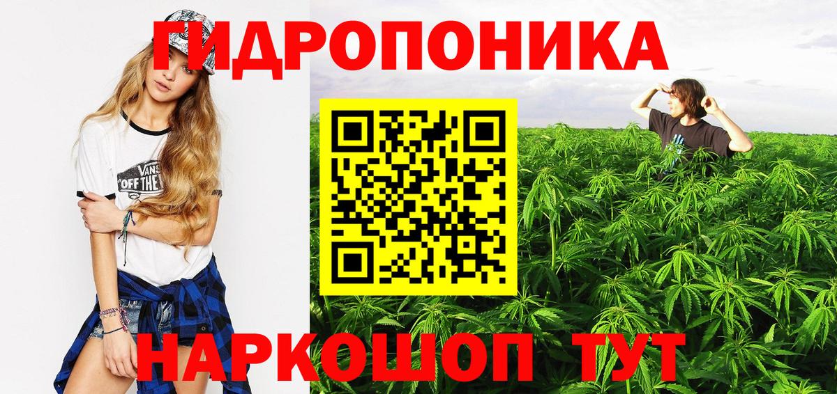 Шишки марихуана Amnesia  МАРИХУАНА Amnesia  Бошки марихуана THC 21%  Бошки Шишки сатива  Белгород  Вход с VPN 